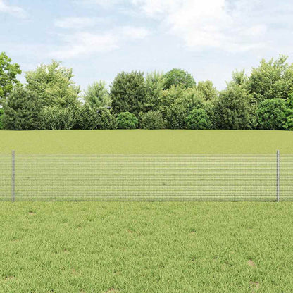 Recinzione con Posto Argento 0,4 x 10 m Acciaio