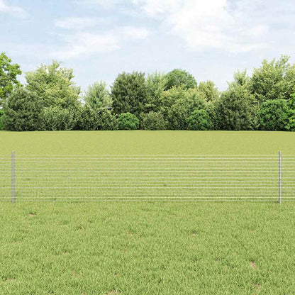 Recinzione con Posto Argento 0,4 x 10 m Acciaio