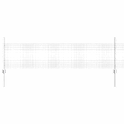 Recinzione con Posto Argento 0,5 x 10 m Acciaio