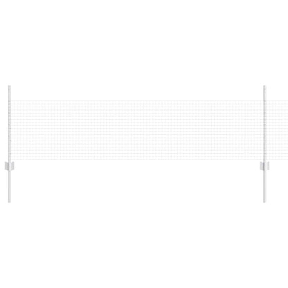 Recinzione con Posto Argento 0,5 x 10 m Acciaio