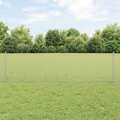 Recinzione con Posto Argento 0,6 x 10 m Acciaio