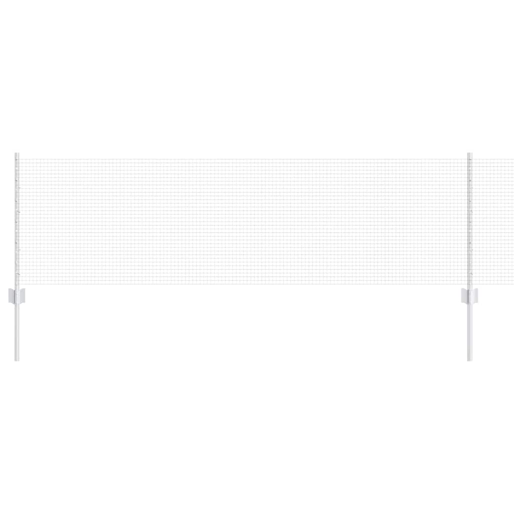 Recinzione con Posto Argento 0,6 x 10 m Acciaio