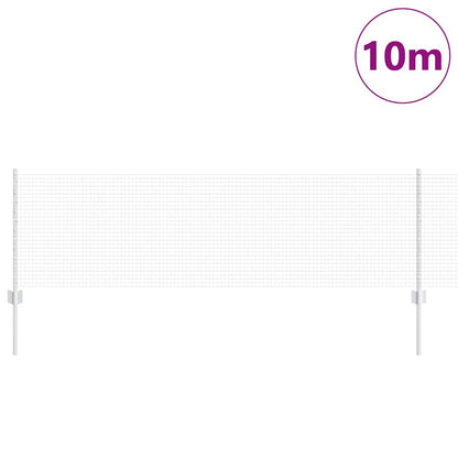 Recinzione con Posto Argento 0,6 x 10 m Acciaio