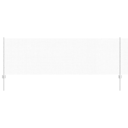 Recinzione con Posto Argento 0,8 x 10 m Acciaio