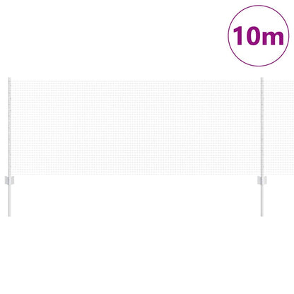 Recinzione con Posto Argento 0,8 x 10 m Acciaio
