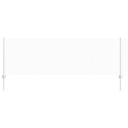 Recinzione con Posto Argento 0,8 x 10 m Acciaio