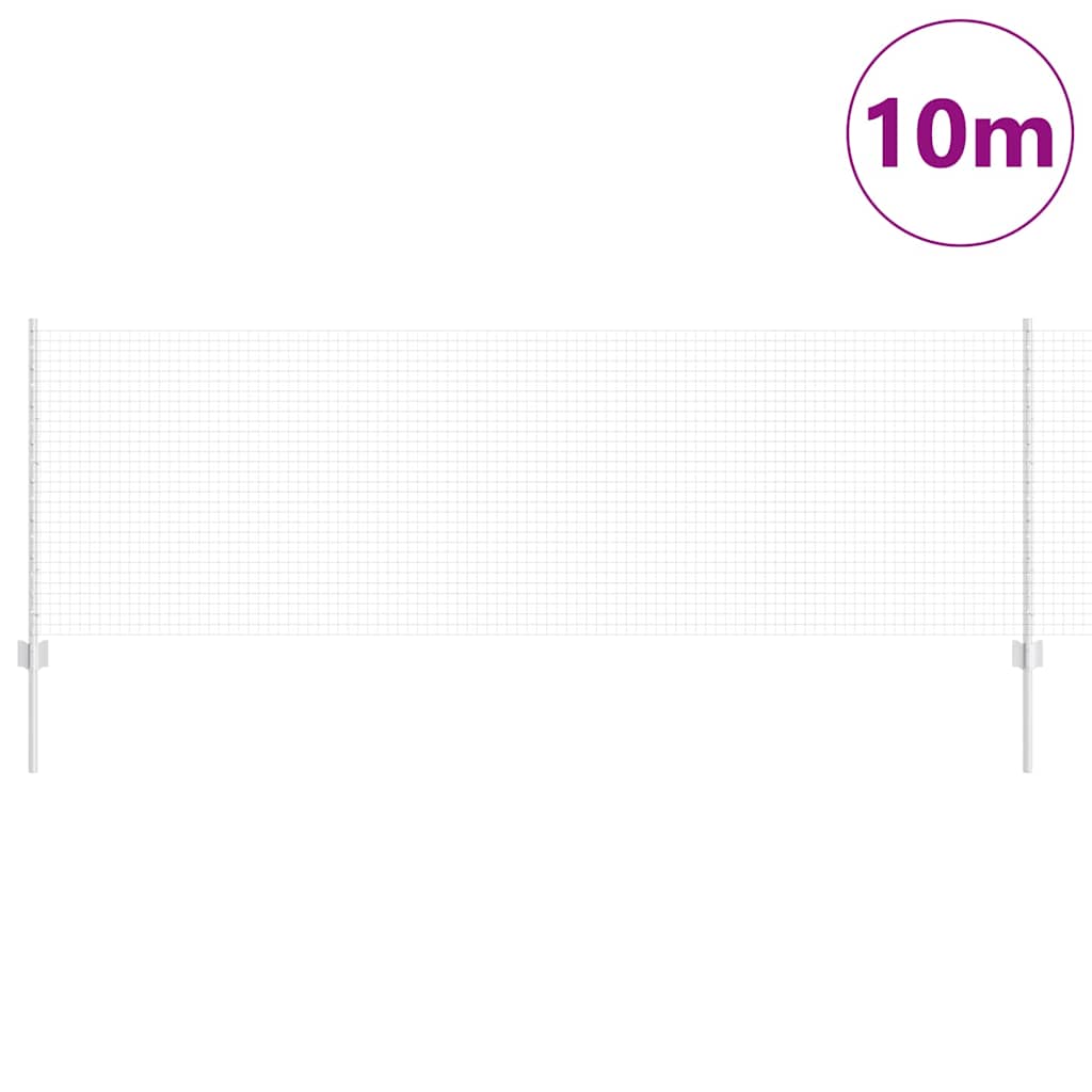 Recinzione con Posto Argento 0,8 x 10 m Acciaio
