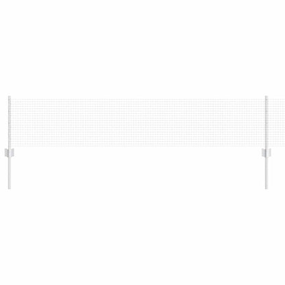 Recinzione con Posto Argento 0,4 x 25 m Acciaio