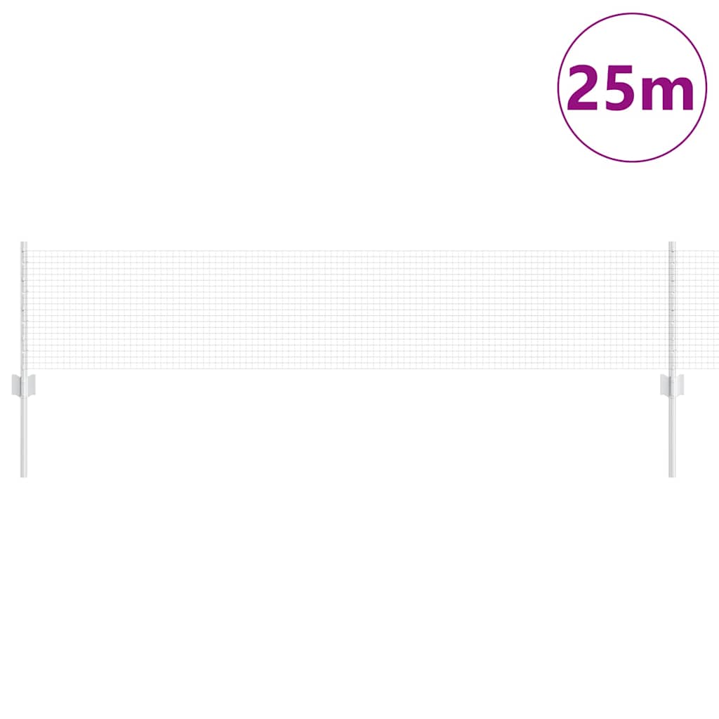 Recinzione con Posto Argento 0,4 x 25 m Acciaio