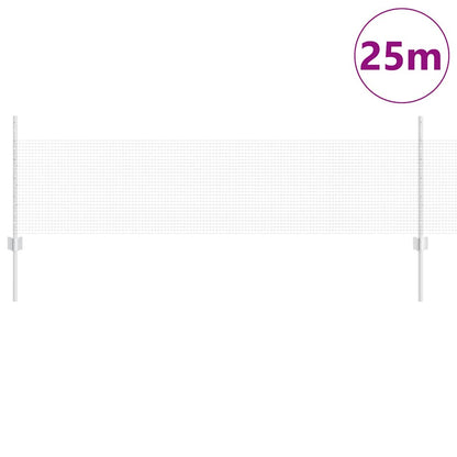 Recinzione con Posto Argento 0,5 x 25 m Acciaio