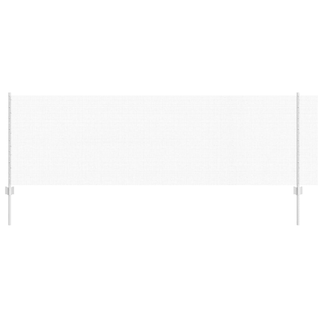 Recinzione con Posto Argento 0,8 x 25 m Acciaio