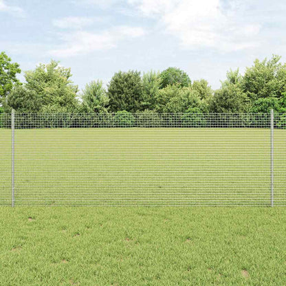 Recinzione con Posto Argento 0,8 x 25 m Acciaio