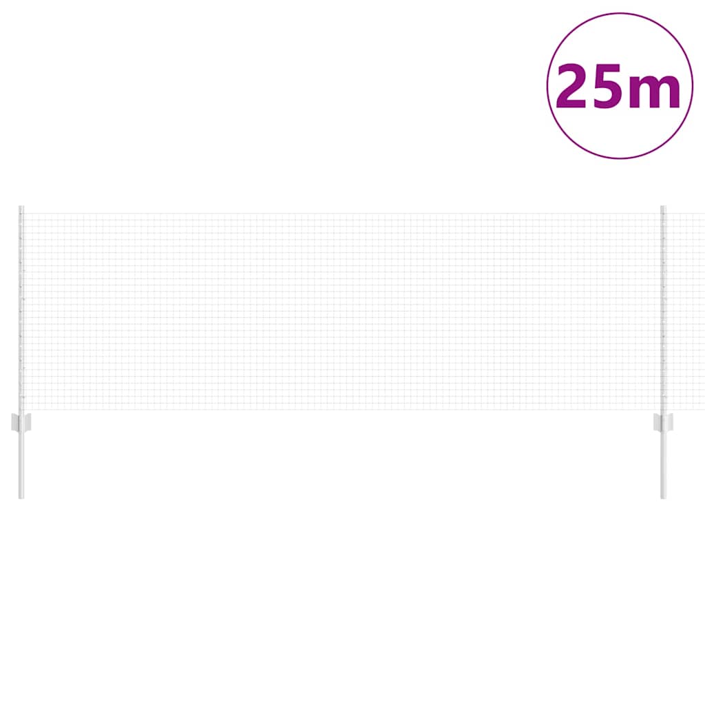 Recinzione con Posto Argento 0,8 x 25 m Acciaio