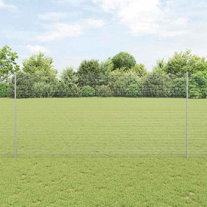 Recinzione con Posto Argento 1,6 x 25 m Acciaio