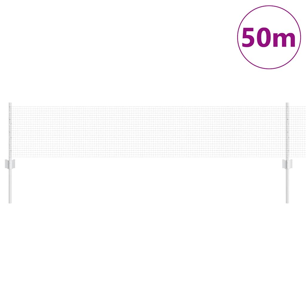 Recinzione con Posto Argento 0,4 x 50 m Acciaio