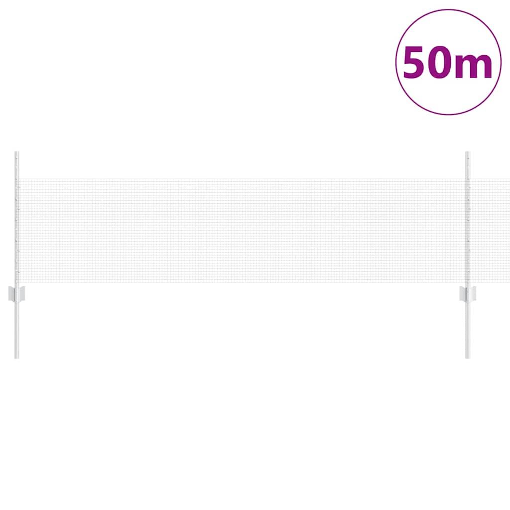 Recinzione con Posto Argento 0,5 x 50 m Acciaio