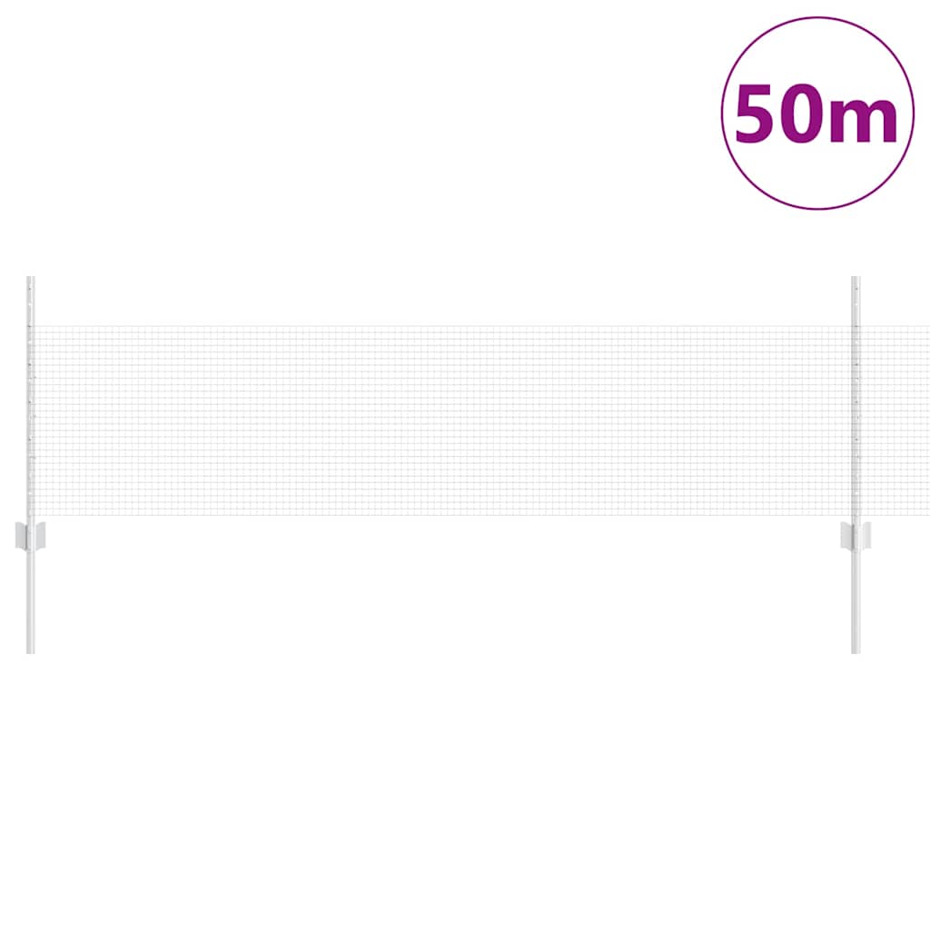 Recinzione con Posto Argento 0,5 x 50 m Acciaio