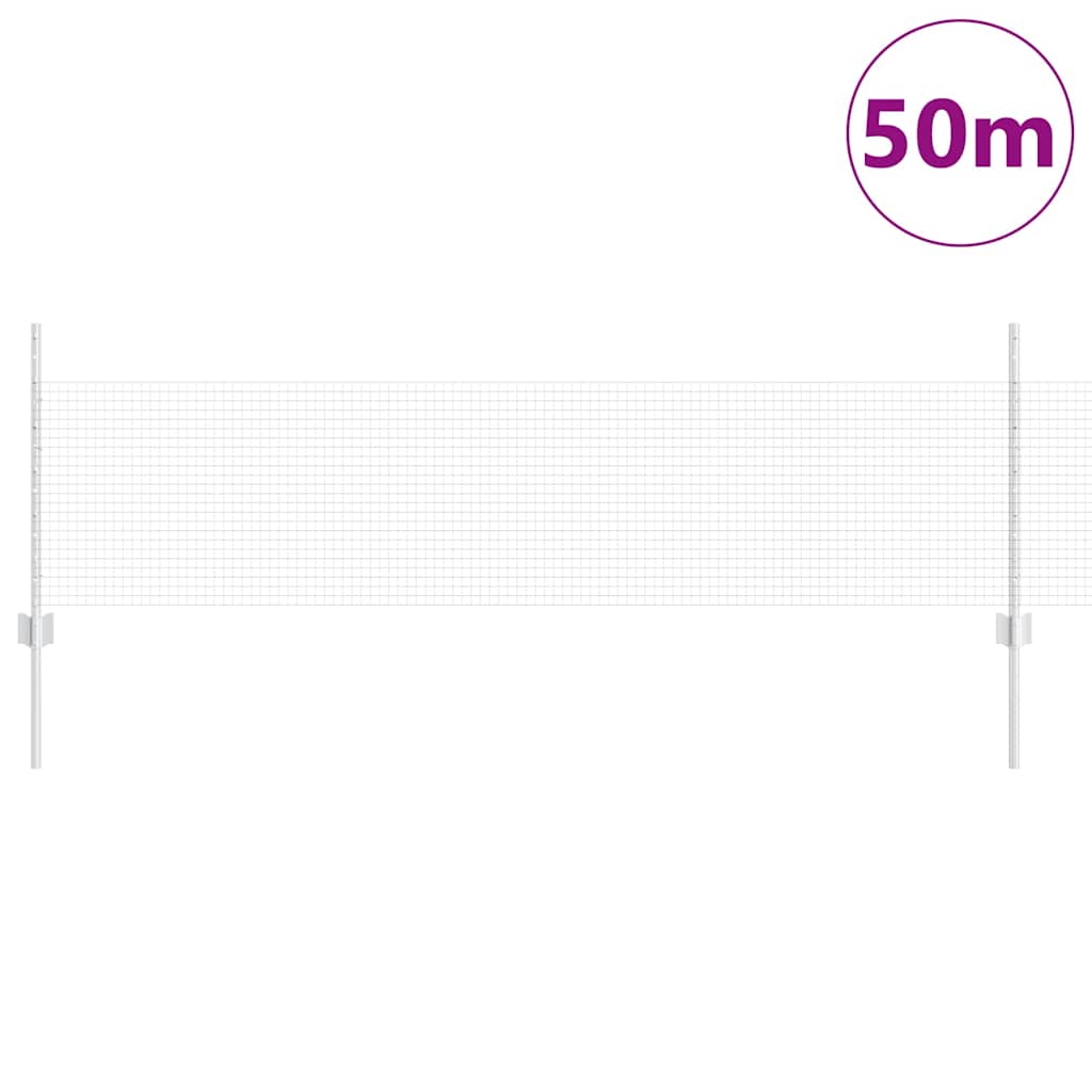 Recinzione con Posto Argento 0,5 x 50 m Acciaio