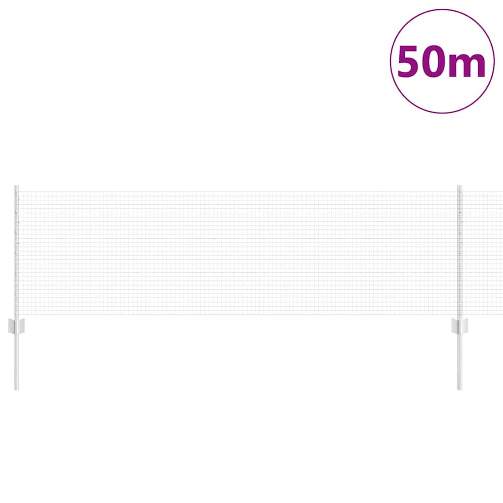 Recinzione con Posto Argento 0,6 x 50 m Acciaio