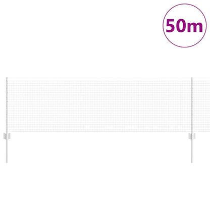 Recinzione con Posto Argento 0,6 x 50 m Acciaio