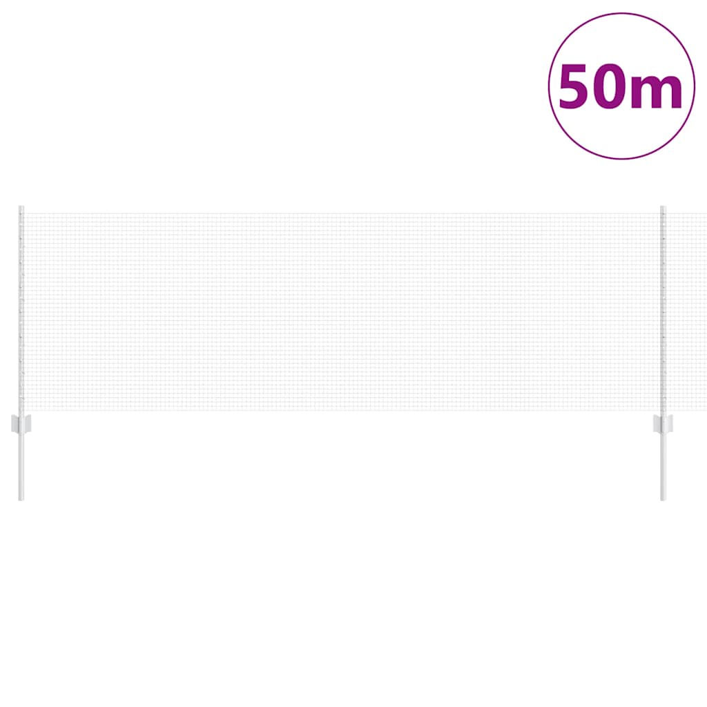 Recinzione con Posto Argento 0,8 x 50 m Acciaio