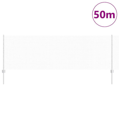 Recinzione con Posto Argento 0,8 x 50 m Acciaio