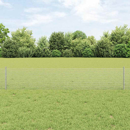 Recinzione con Posto Argento 0,4 x 100 m Acciaio