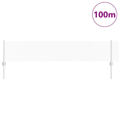Recinzione con Posto Argento 0,4 x 100 m Acciaio
