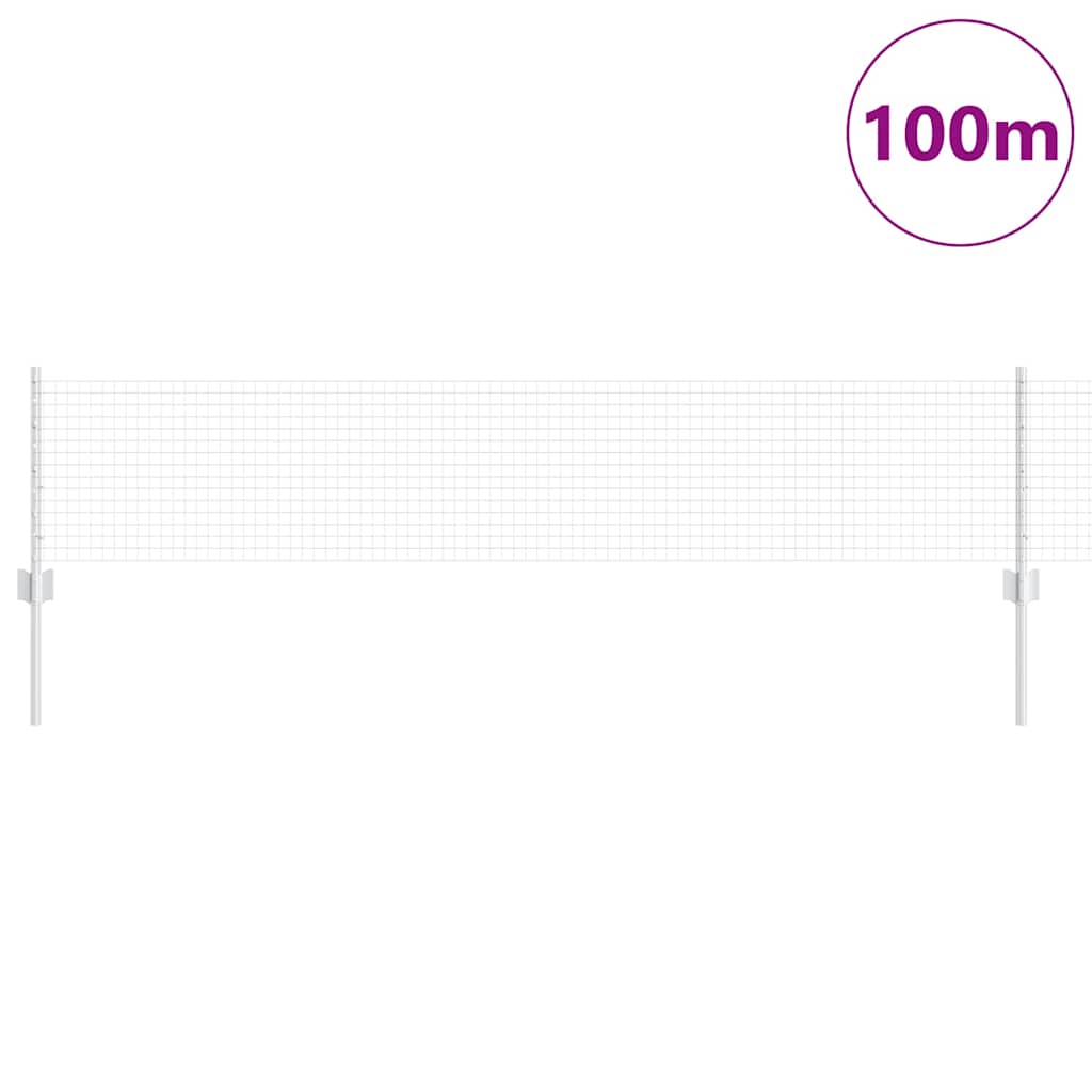 Recinzione con Posto Argento 0,4 x 100 m Acciaio