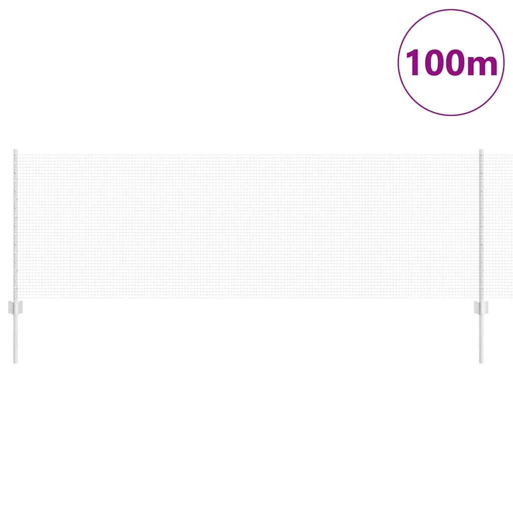Recinzione con Posto Argento 0,8 x 100 m Acciaio