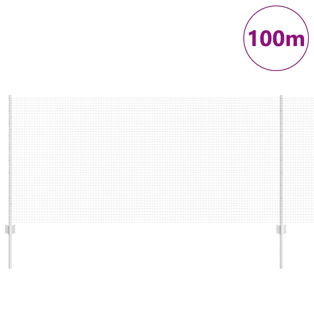 Recinzione con Posto Argento 1 x 100 m Acciaio