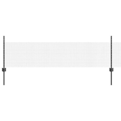 Recinzione con Posto Grigio 0,5 x 10 m Acciaio