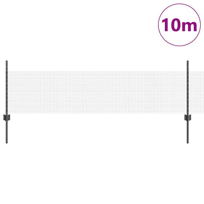 Recinzione con Posto Grigio 0,5 x 10 m Acciaio
