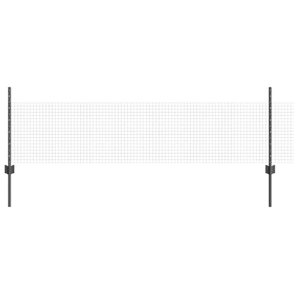 Recinzione con Posto Grigio 0,5 x 10 m Acciaio