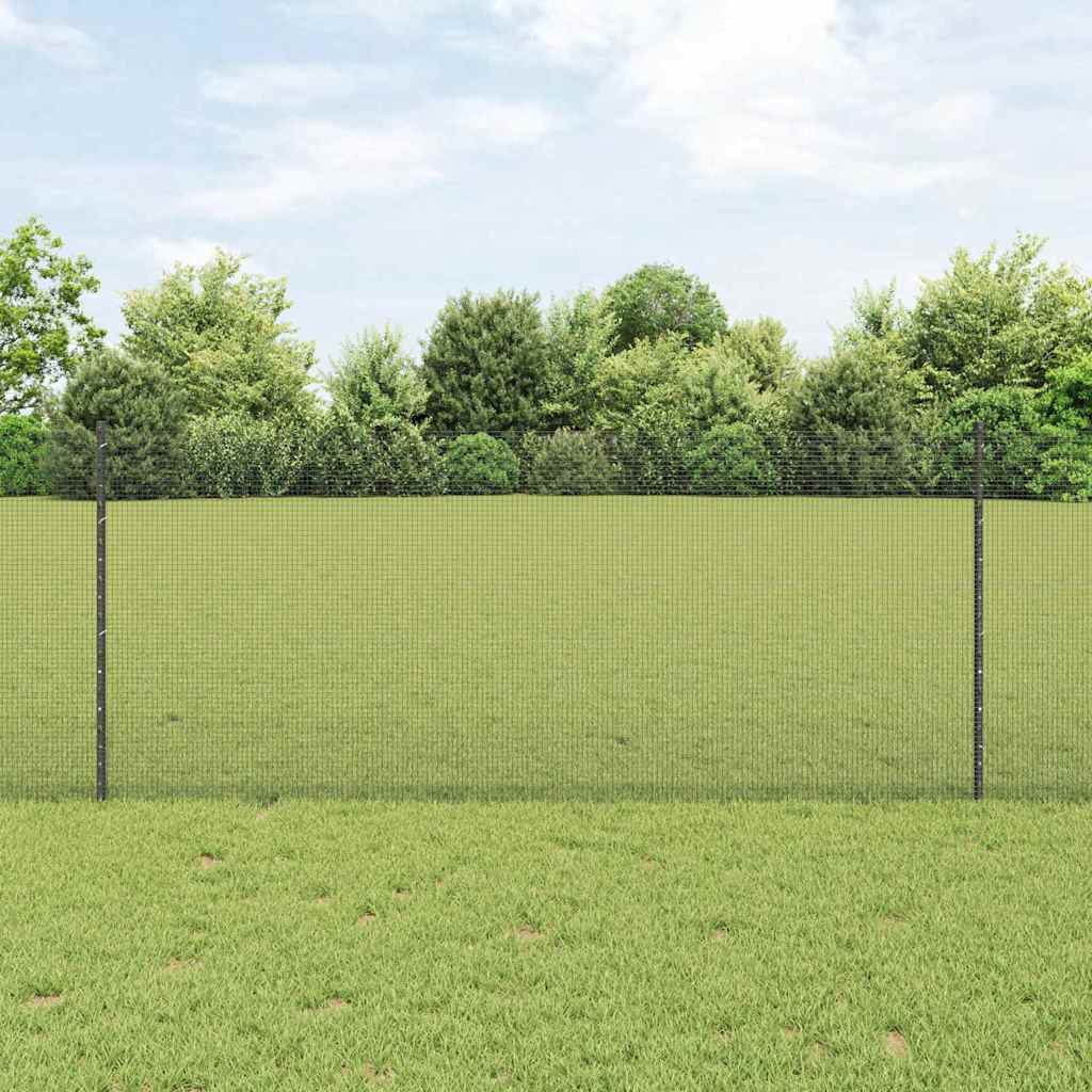 Recinzione con Posto Grigio 1 x 10 m Acciaio