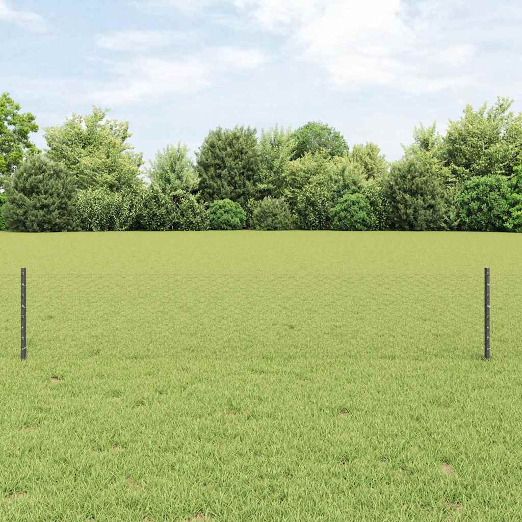 Recinzione con Posto Grigio 0,4 x 10 m Acciaio e PVC
