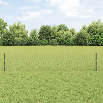 Recinzione con Posto Grigio 0,4 x 10 m Acciaio e PVC
