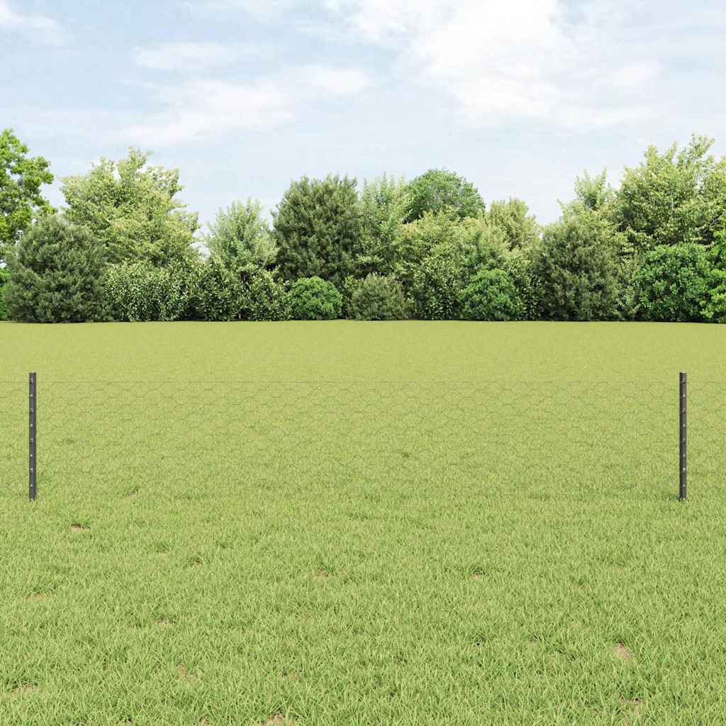 Recinzione con Posto Grigio 0,4 x 10 m Acciaio e PVC