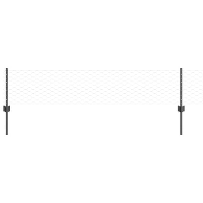 Recinzione con Posto Grigio 0,4 x 10 m Acciaio e PVC