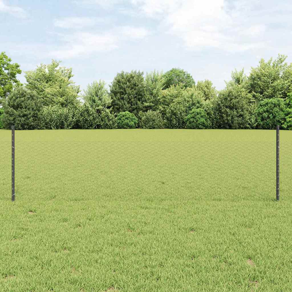 Recinzione con Posto Grigio 0,5 x 10 m Acciaio e PVC