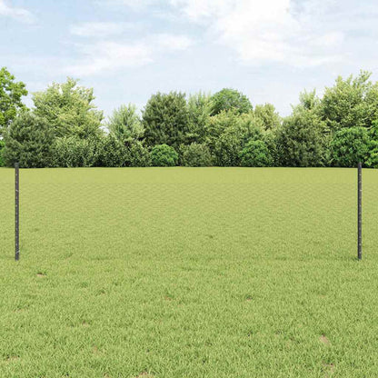 Recinzione con Posto Grigio 0,5 x 10 m Acciaio e PVC