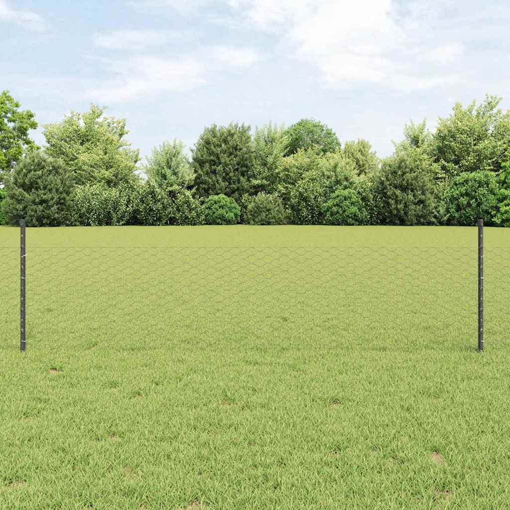 Recinzione con Posto Grigio 0,5 x 10 m Acciaio e PVC
