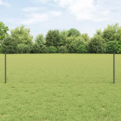 Recinzione con Posto Grigio 0,5 x 10 m Acciaio e PVC
