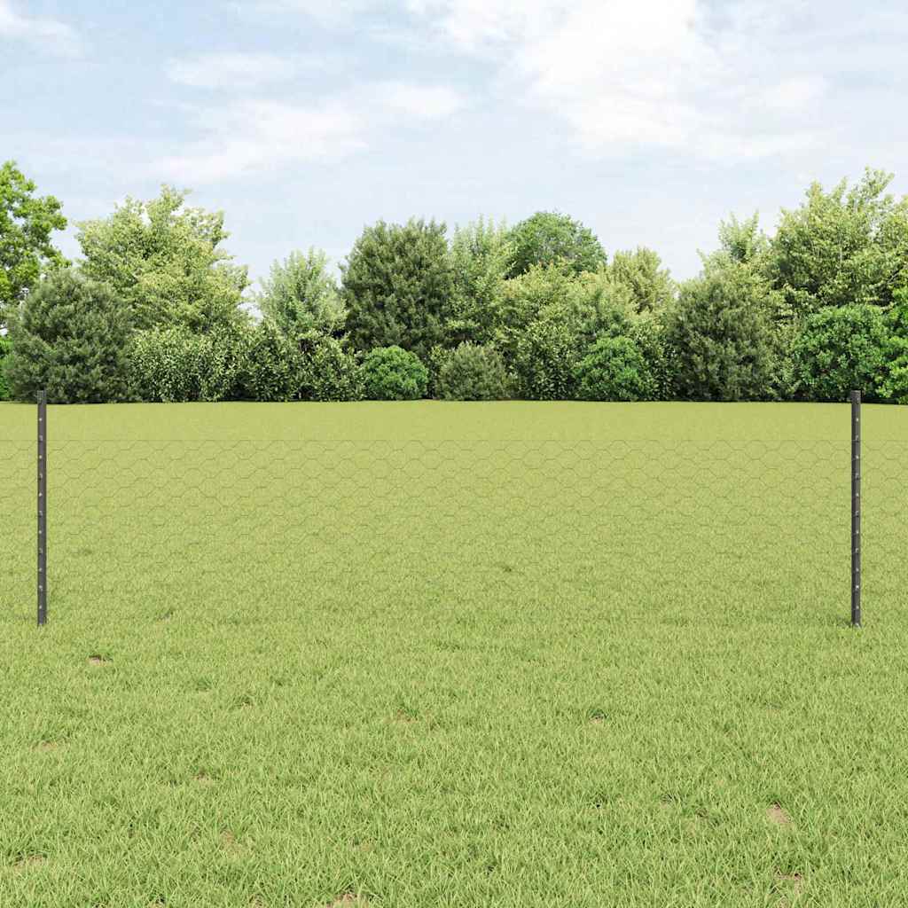 Recinzione con Posto Grigio 0,5 x 10 m Acciaio e PVC