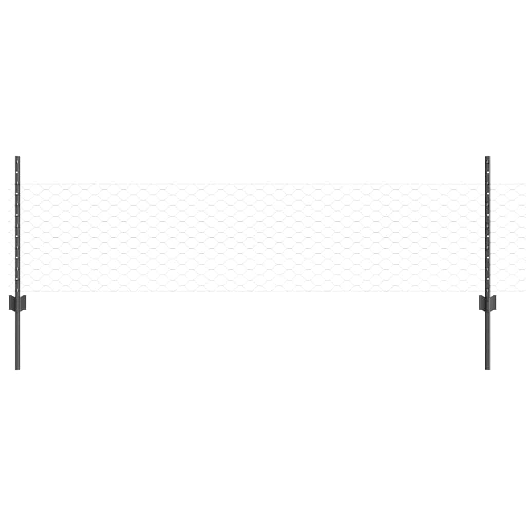 Recinzione con Posto Grigio 0,5 x 10 m Acciaio e PVC