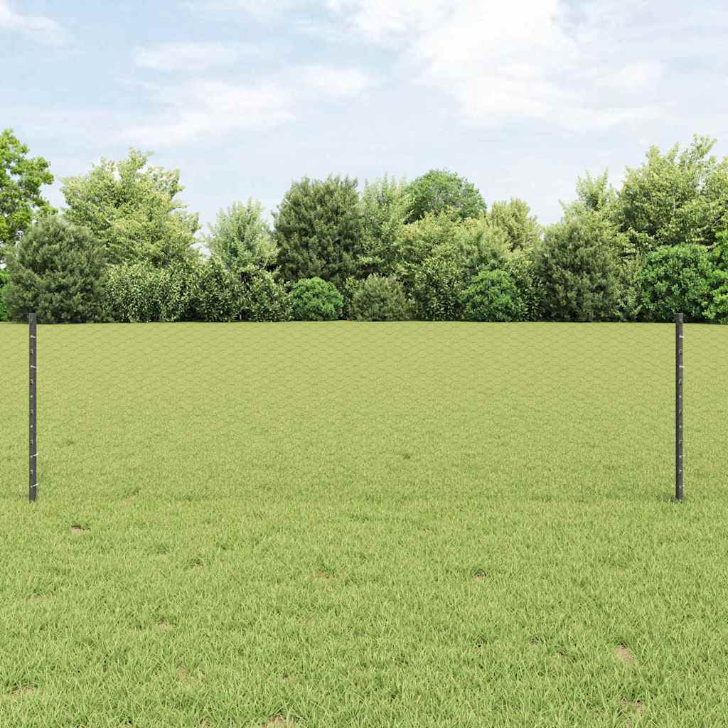Recinzione con Posto Grigio 0,6 x 10 m Acciaio e PVC