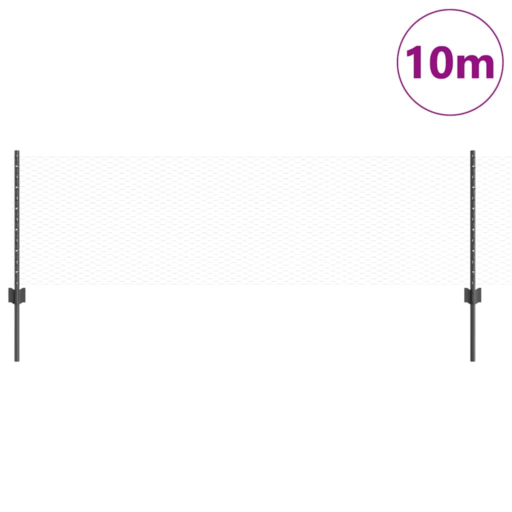 Recinzione con Posto Grigio 0,6 x 10 m Acciaio e PVC