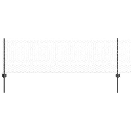 Recinzione con Posto Grigio 0,6 x 10 m Acciaio e PVC