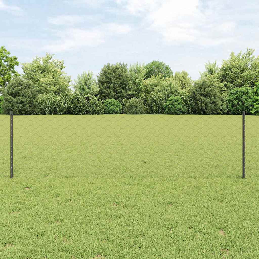 Recinzione con Posto Grigio 0,6 x 10 m Acciaio e PVC