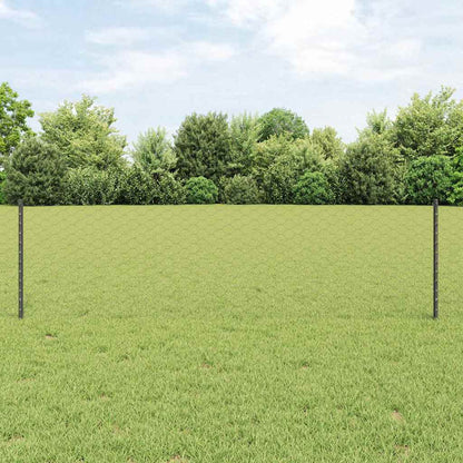 Recinzione con Posto Grigio 0,6 x 10 m Acciaio e PVC
